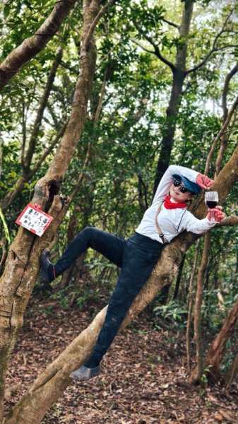 東勢大崙、東勢坑山、觀音湖山O走2986277