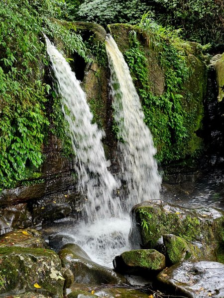 2025臺北大縱走第七段：世界山莊至飛龍步道政大後山2924016