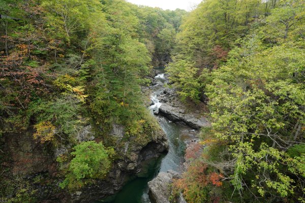 日本 北海道2908555