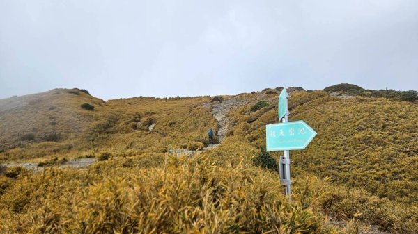 20251214合歡西北下華崗2963723