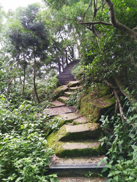 挑戰1063階的木棧階梯。 新田登山步道776941