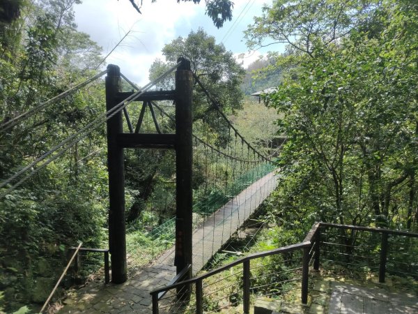 1140830迷糊步道3099575