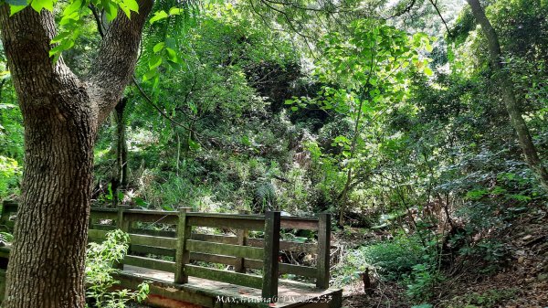 《台中》心靈雞湯｜大肚萬里長城登山步道O繞202507052827452