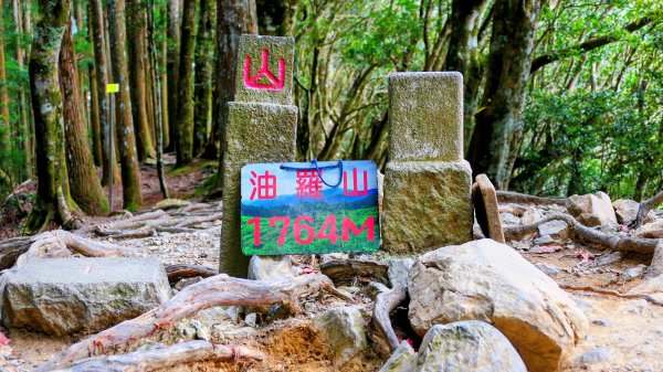 油羅山(一上三下)2959164