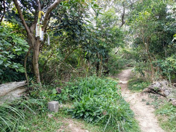 再訪十八尖山(小百岳#26)都會公園踏青943295