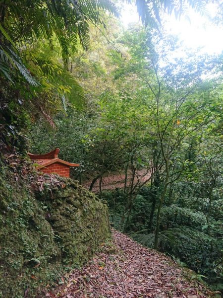 淡蘭烏山古道西段、網形山O走1434237