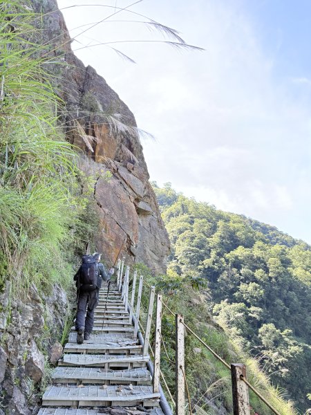 來去郡大坐龍貓公車順登對關山2822340
