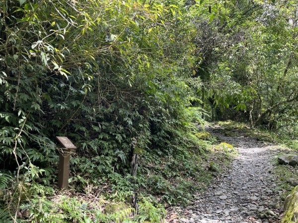 2025_0713 松羅步道2836794