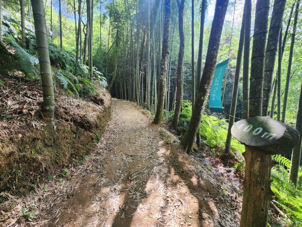 20251004雲頂之丘番子田山2927207