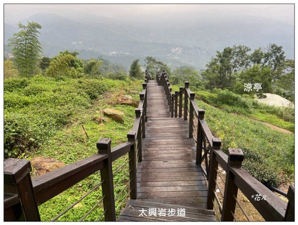 太興岩步道、萬鷺朝鳳、巧雲小棧 (嘉義 梅山)2886376