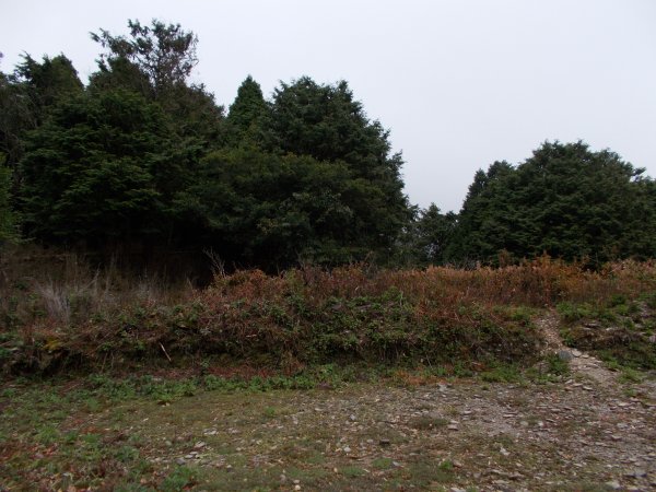 治茆山,治茆山南峰,巒山堂691189