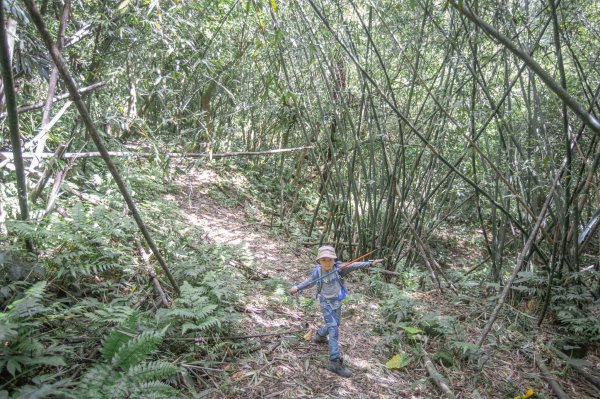 闊瀨古道-沿北勢溪谷而行的夏末之旅（淡蘭古道）2287644