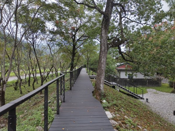 [漫遊縱谷 愛在花東-08/10] 2025_1012 林田山林業文化園區步道2913515
