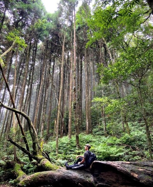 【中級山縱走】高島縱走（高台山，小島田山，中島田山，大島田山）2740957