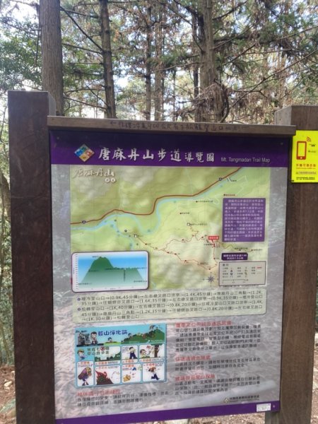 唐麻丹山3059704