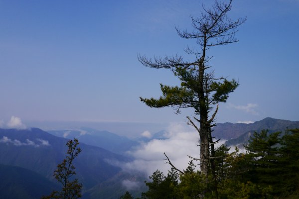 2019.4.2~3玉山主峰、西峰588525