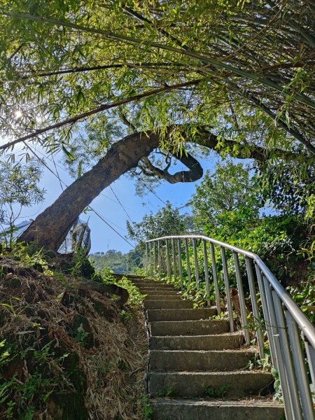 2023.12.08 土庫岳2695267