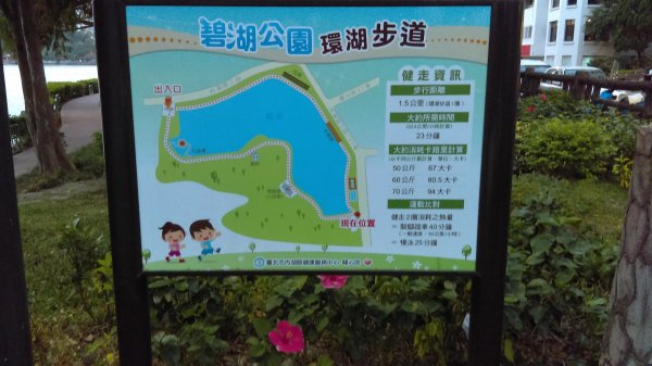 湖光山色的碧湖公園步道732815