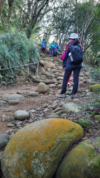 《新竹》古道巡禮｜觀日坪古道飛鳳山步道O型及關西東安古橋202111141514489