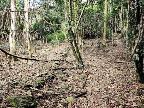 鳴海山-小百岳#71-高雄市茂林區2930858