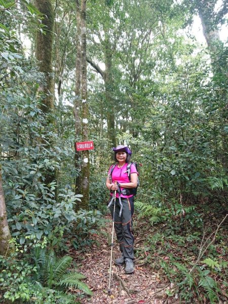 那結山（嘎色鬧部落線）893434