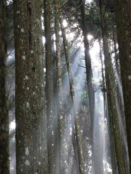 阿興阿賢三角湖山向天湖山光天高山752272