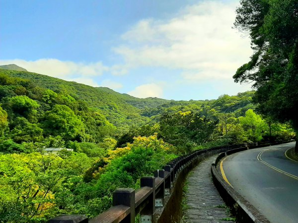 走遍陽明山：人車分道系統｜環七星山人車分道2093238