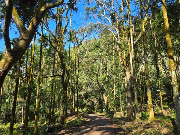 九龍山連走大凍山2955729