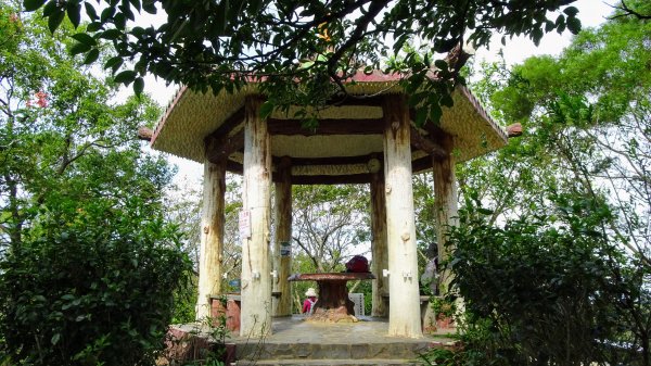 今天，我想來點飛鳳山，叮咚。1142057