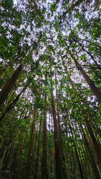 112.04.08 油羅山2123571