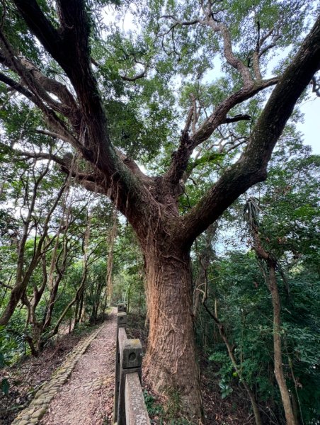 隴頂古道走萬里長城四百坎2672818