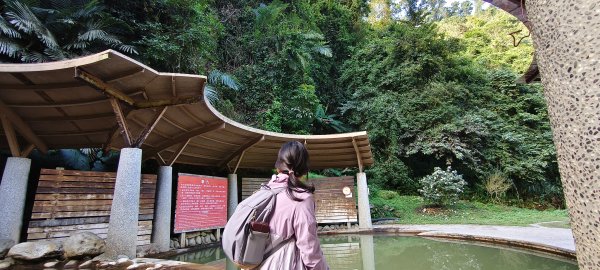 北埔一日遊-2025/12/142962602