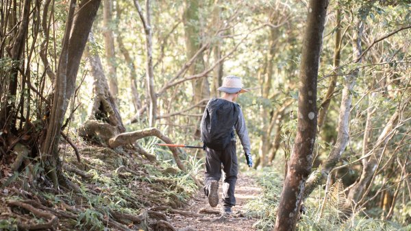 微笑山線 筆架連峰段段｜健行筆記尋寶任務2824784