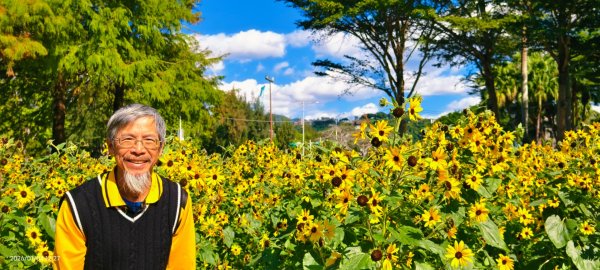 #花卉試驗中心 #永公路500巷 #平菁街42巷 #原住民公園 #士林官邸 1/42976517