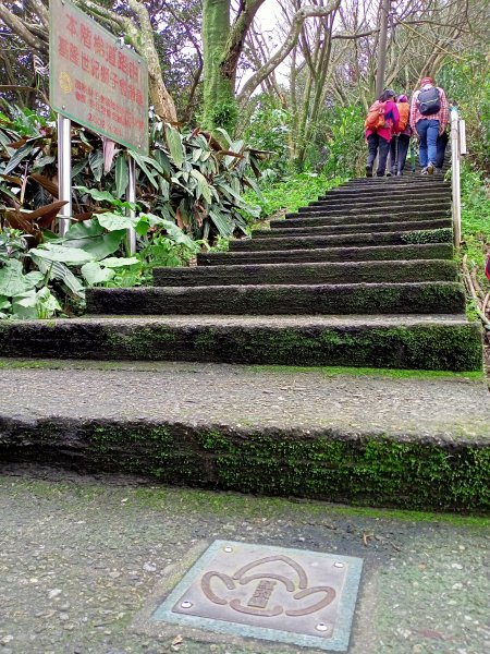 【小百岳集起來】#007 基隆紅淡山 H210m, 三等三角點 #10241633514