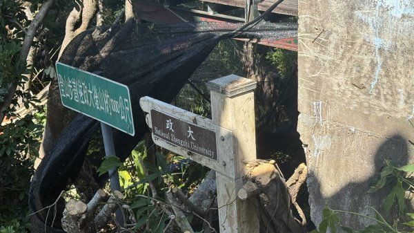 2025/10/15 台北大縱走第7段2916505