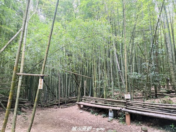 【台中和平】長壽山_肥崠山_山徑3077656