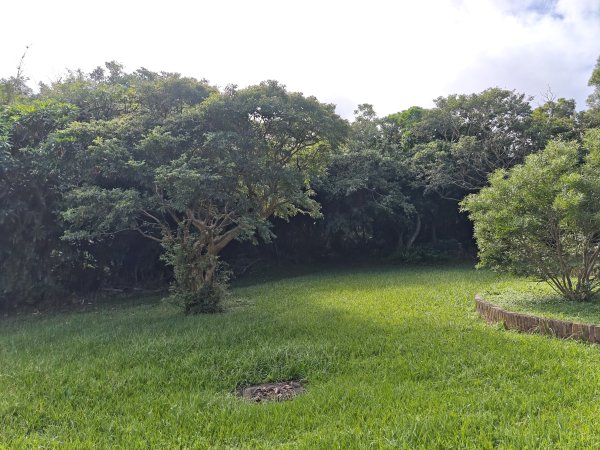 [百山百鳥尋旅-02/15] 2025_0809 社頂自然公園步道2856889