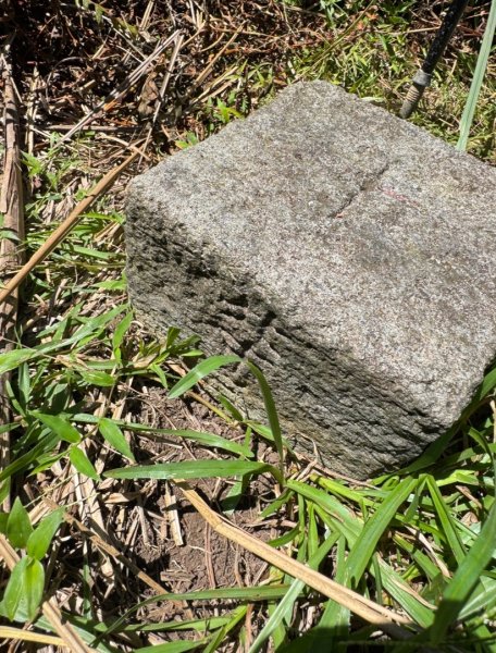 上磺溪橋走魚路古道/金包里城門/擎天崗/冷水坑2872348