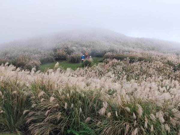 磺嘴山-陽明山國家公園2411366