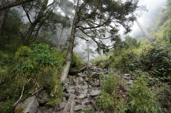 南投 信義 玉山前峰2352073