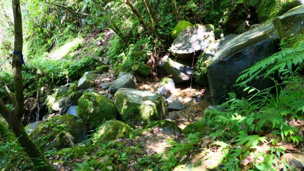 大湖尾,溪尾寮,藤寮坑古道2877522