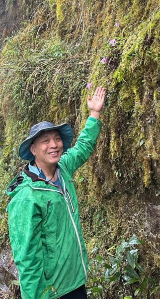 卡保石壁一葉蘭（耘夢谷上逐鹿山下O走）2809525