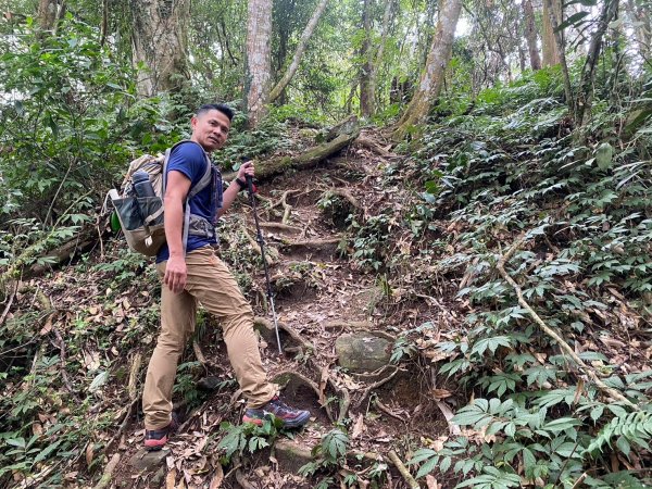 望鄉部落.獵人古道.望美山.瓊山【人與自然山林的恩怨情仇】2731390