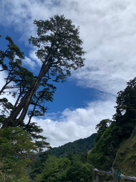 20220625台東海端向陽山、向陽山北峰、三叉山、嘉明湖1745568