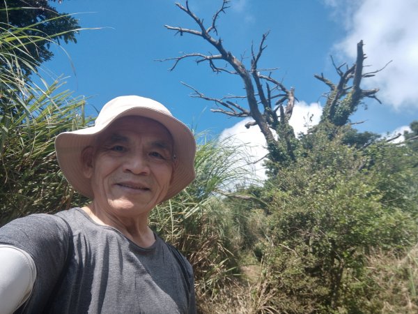 大屯山連峰1453752