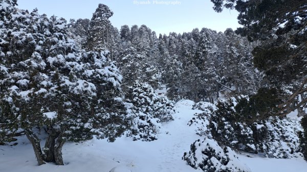 雪山西稜5天4夜2427837