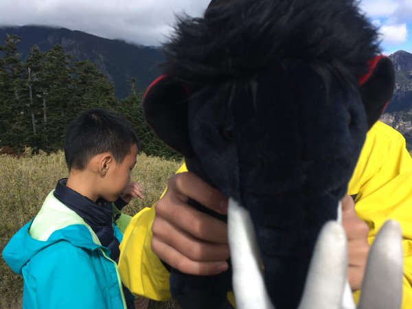 雪山 不下雪533108