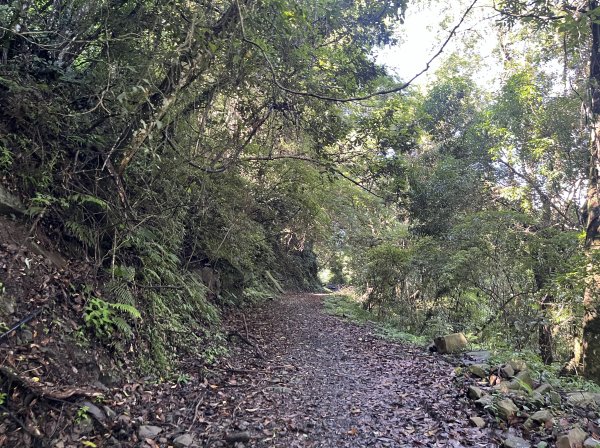 2025_0621 霞喀羅國家步道(養老端)2819862