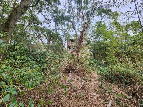 20250101海口山、糠榔埔山、闖水窩山及大牛朝山2726203